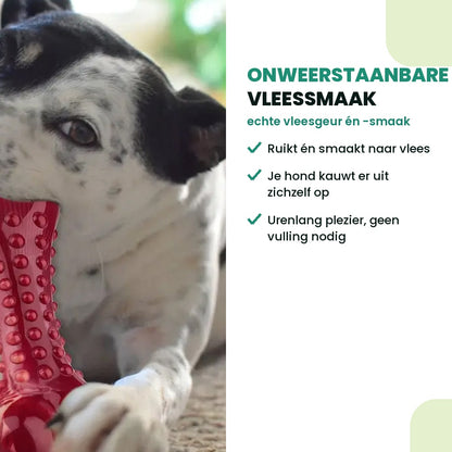 Hond kauwt op het natuurrubber speeltje met onweerstaanbare vleessmaak