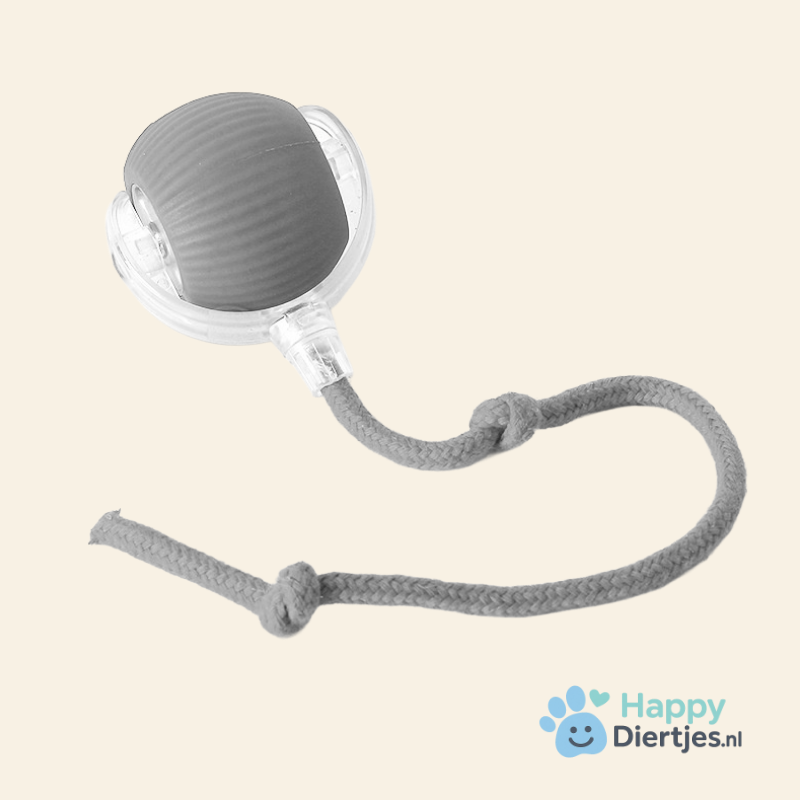 PowerBal™ - De magische, zelf bewegende bal met staart