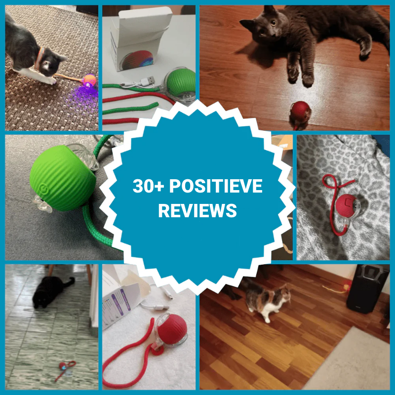 PowerBal™ - De magische, zelf bewegende bal met staart