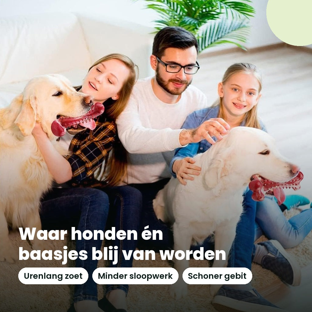 Gezin met twee honden die spelen met het natuurrubber kauwspeelgoed met vleessmaak