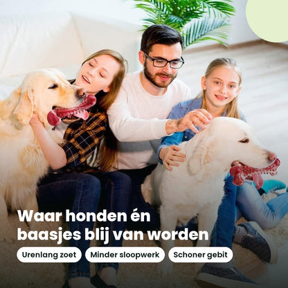Gezin met twee honden die spelen met het natuurrubber kauwspeelgoed met vleessmaak