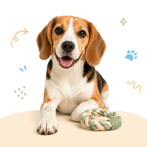 Honden