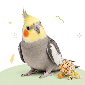 Vogels