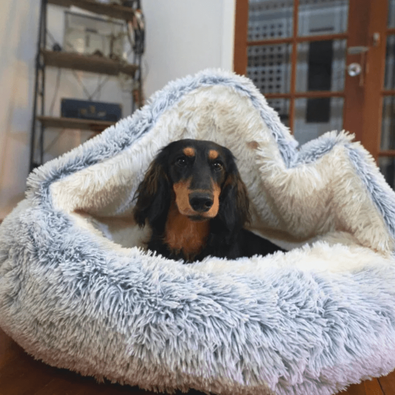 Honden & Katten Mand | Gesloten warme mand - HappyDiertjes.nl