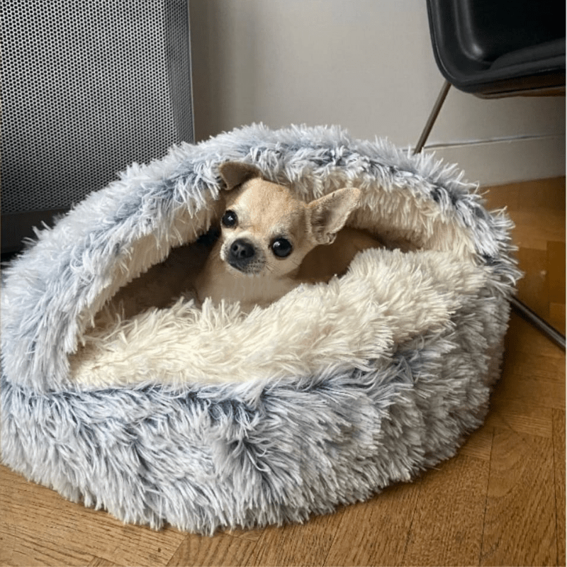 Honden & Katten Mand | Gesloten warme mand - HappyDiertjes.nl