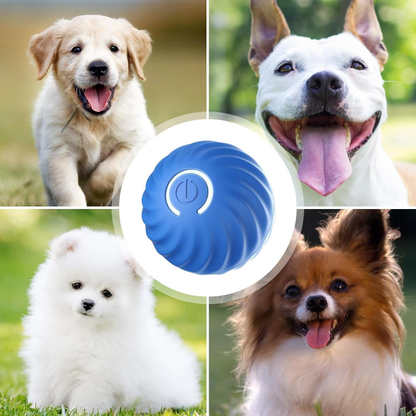 Interactieve Bal voor honden - HappyDiertjes.nl
