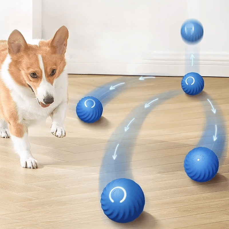 Interactieve Bal voor honden - HappyDiertjes.nl