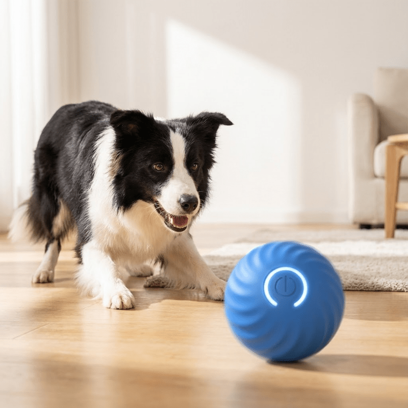 Interactieve Bal voor honden - HappyDiertjes.nl