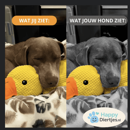 KnuffelKameraad™ - De anti - stress vriend voor jouw hond - HappyDiertjes.nl
