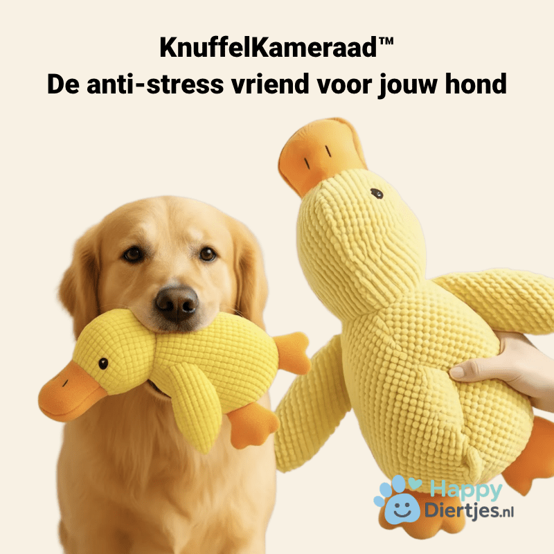 KnuffelKameraad™ - De anti - stress vriend voor jouw hond - HappyDiertjes.nl
