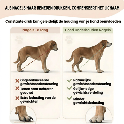 Nagelvijl Plank | Krab plank voor Honden – Stressvrij Nagels Vijlen Zonder Knippen - HappyDiertjes.nl