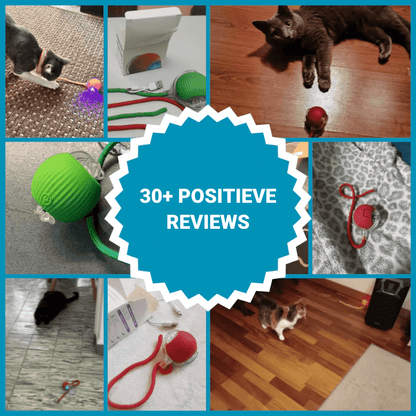 PowerBal™ - De magische, zelf bewegende bal met staart - HappyDiertjes.nl