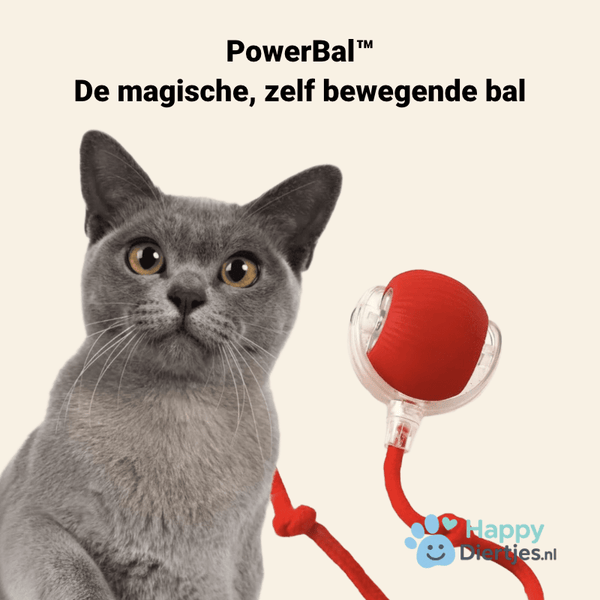 PowerBal™ - De magische, zelf bewegende bal met staart - HappyDiertjes.nl
