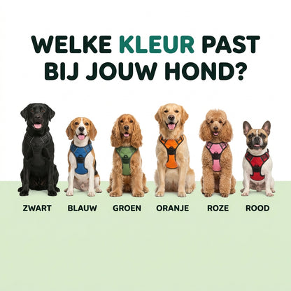 Verkrijgbaar in meerdere kleuren