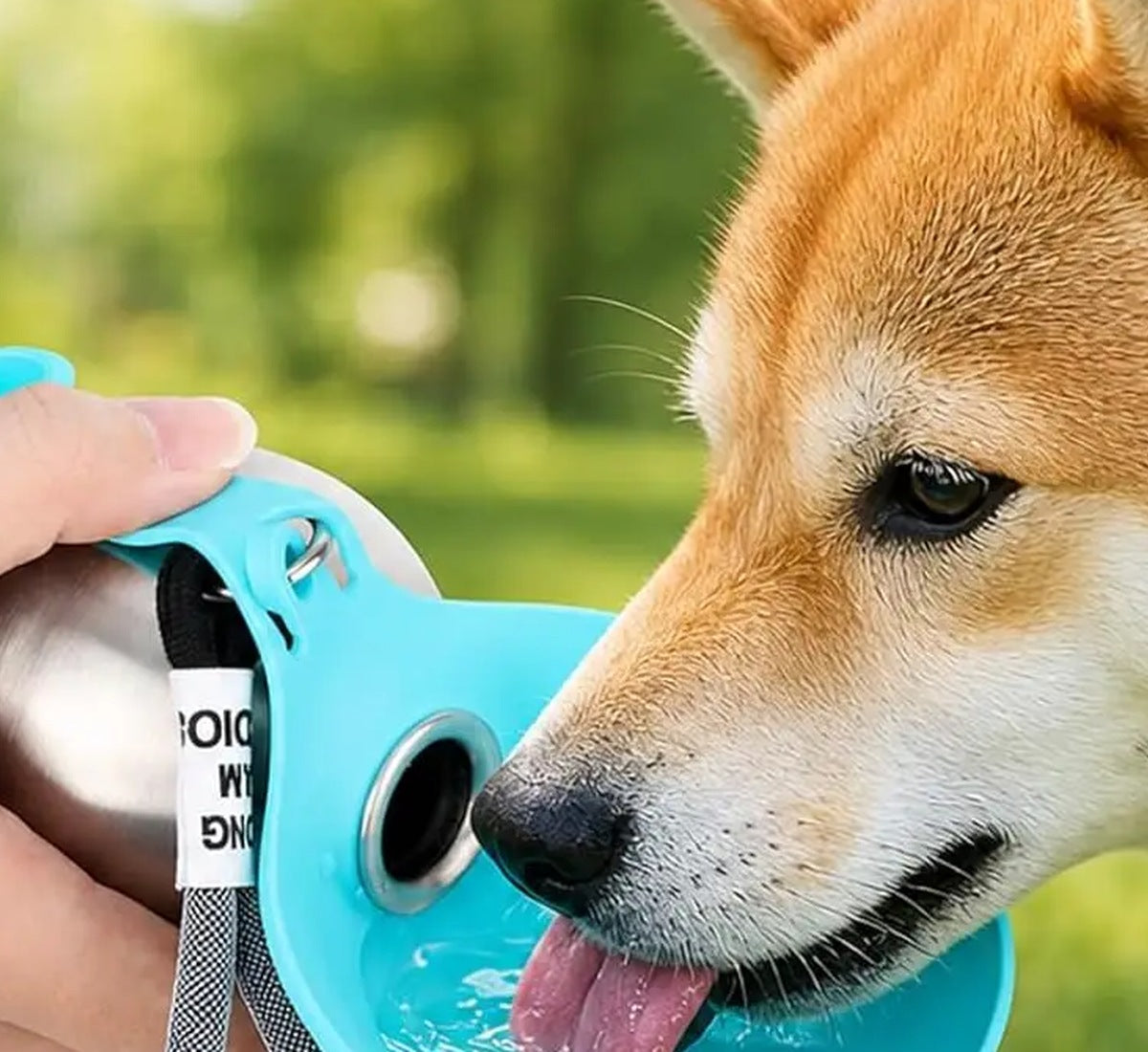 Hond drinkt onderweg uit de RVS reisdrinkfles
