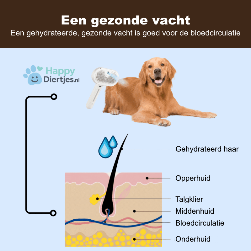 SteamPro | Professionele Vachtverzorgings Borstel voor Huisdieren - HappyDiertjes.nl