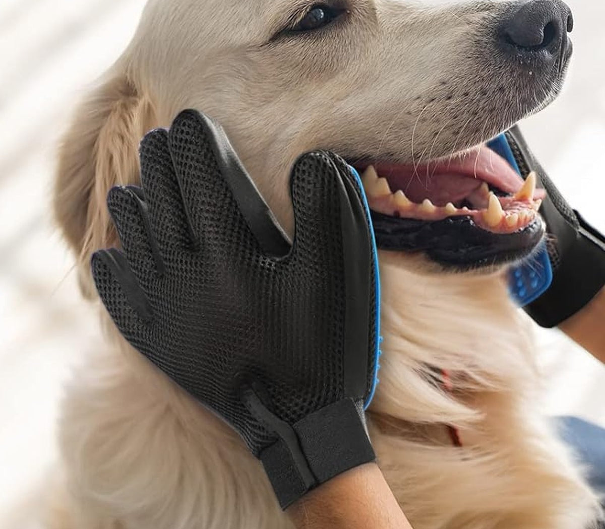 Hond wordt verzorgd met de vachtverzorgingshandschoen