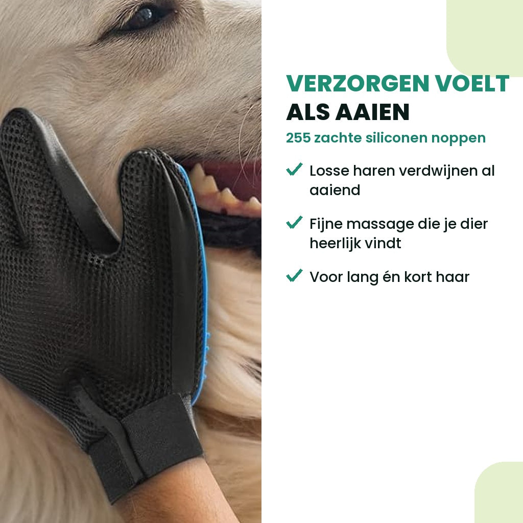 Hond wordt geaaid en geborsteld met de vachthandschoen