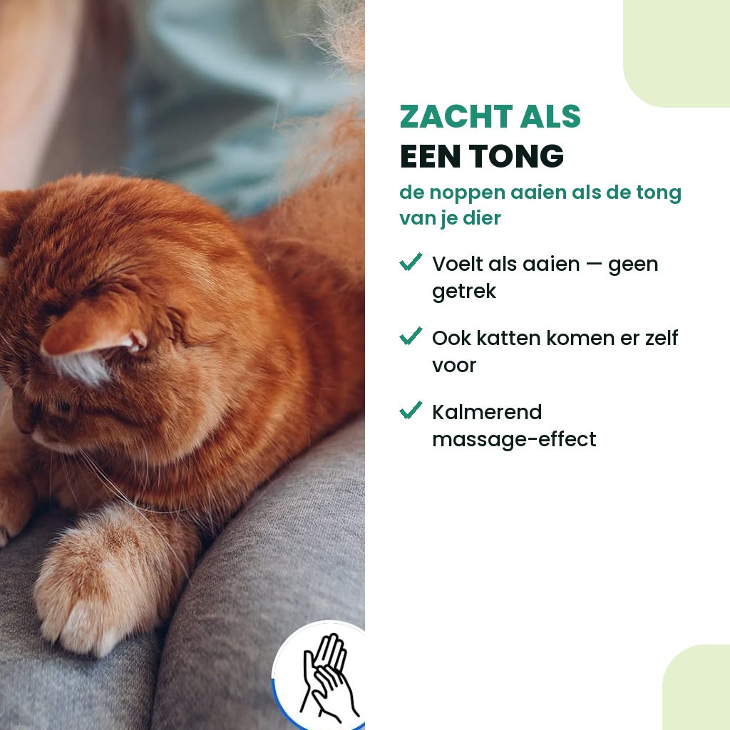 Kat geniet van de zachte siliconen noppen, voelt als de tong van je dier