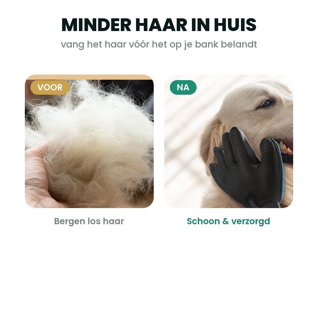 Voor en na: bergen los haar versus een schone verzorgde vacht