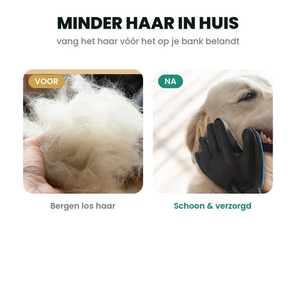 Voor en na: bergen los haar versus een schone verzorgde vacht
